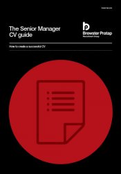 Senior Manager CV Guide