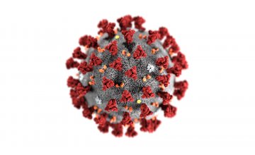 Important Notice: Covid-19 Response